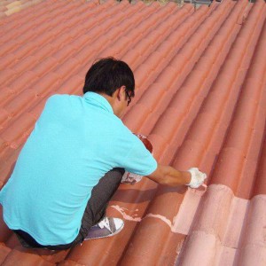 有機(jī)硅防水涂料雙贏防水廠家
