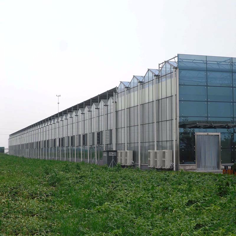玻璃智能溫室廠家 廠家直銷 品質(zhì)保證 山東玻璃智能溫室