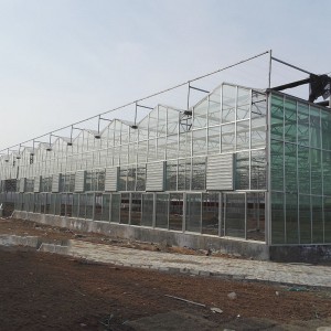 玻璃智能溫室廠家 廠家直銷 品質(zhì)保證 山東玻璃智能溫室
