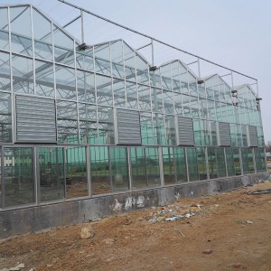 玻璃智能溫室廠家 廠家直銷 品質(zhì)保證 山東玻璃智能溫室