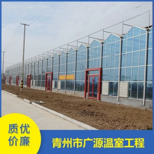 青州廣源大棚骨架加工 玻璃大棚溫室廠家直供
