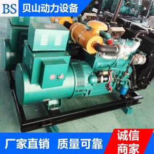 濰柴200千瓦發(fā)電機(jī)組 柴油發(fā)電機(jī)組生產(chǎn)廠家