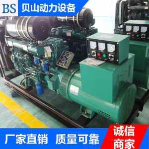濰柴200千瓦發(fā)電機(jī)組 柴油發(fā)電機(jī)組生產(chǎn)廠家