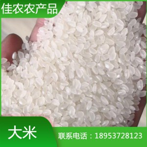 山東米廠現(xiàn)貨直銷大米 珍珠米 圓粒大米 魚臺特產(chǎn)