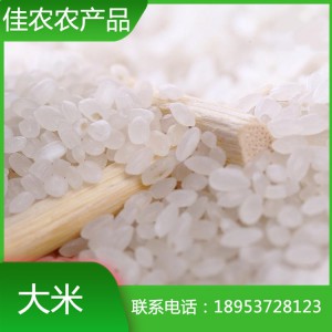 山東米廠現(xiàn)貨直銷大米 珍珠米 圓粒大米 魚臺特產(chǎn)
