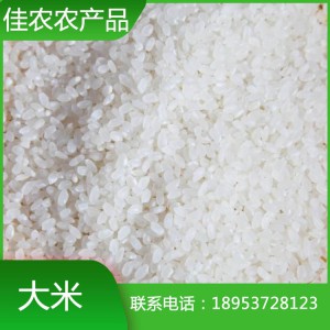 山東米廠現(xiàn)貨直銷大米 珍珠米 圓粒大米 魚臺特產(chǎn)