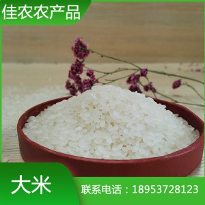 山東米廠現(xiàn)貨直銷大米 珍珠米 圓粒大米 魚臺特產(chǎn)