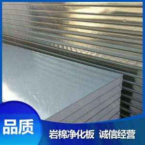 菏澤 廠家直銷 巖棉凈化板 價(jià)格低廉