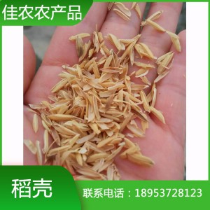 魚臺稻殼批發(fā) 純天然優(yōu)質(zhì)稻殼 養(yǎng)殖墊料用稻殼廠家供應(yīng)