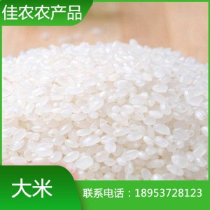 山東米廠現(xiàn)貨直銷大米 珍珠米 圓粒大米 魚臺特產(chǎn)