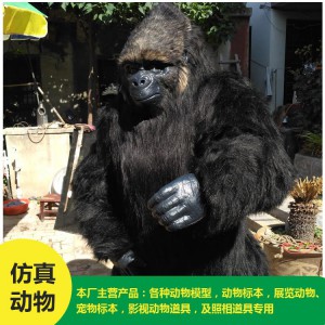 仿真動物 猩猩 批發(fā) 價格低廉