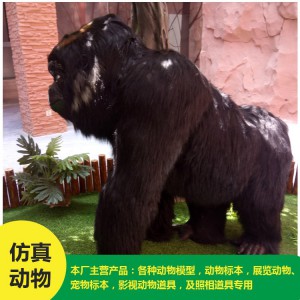 仿真動物 猩猩 批發(fā) 價格低廉
