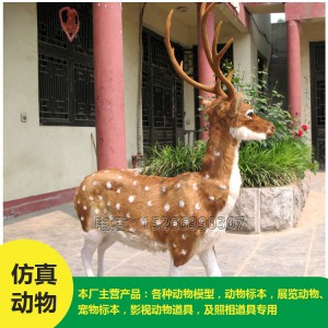 批發(fā)仿真 梅花鹿 價格低廉