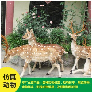 批發(fā)仿真 梅花鹿 價格低廉