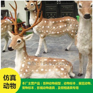 批發(fā)仿真 梅花鹿 價格低廉