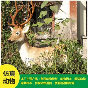 批發(fā)仿真 梅花鹿 價格低廉