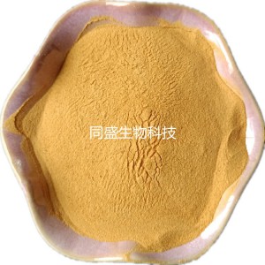發(fā)酵飼料蛋白粉 酵母蛋白源 生產(chǎn)飼料添加劑 玉米漿干粉