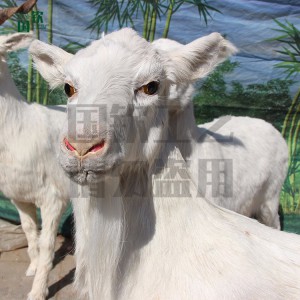 加工定制仿真黑山羊模型 逼真仿真動物 商場工藝擺件