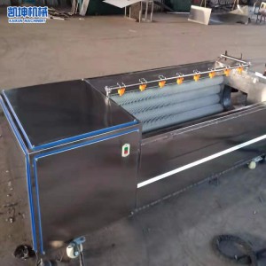 白蘿卜毛輥清洗機(jī) 土豆去皮清洗機(jī) 全自動(dòng)毛刷紅薯脫皮機(jī)