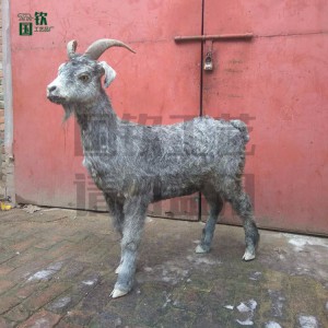 商場工藝擺件仿真山羊 仿真動物標本 規(guī)格齊全 可定制