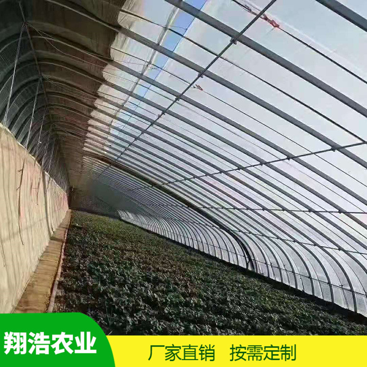 河北育苗單體拱棚 蔬菜薄膜拱形溫室 簡易單體拱棚溫室大棚定制