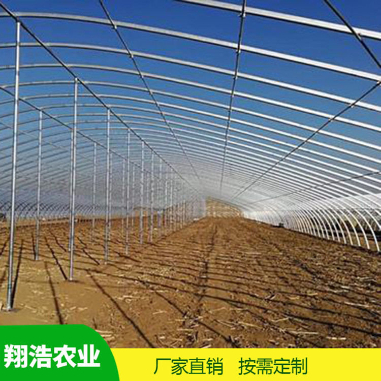 河北育苗單體拱棚 蔬菜薄膜拱形溫室 簡易單體拱棚溫室大棚定制