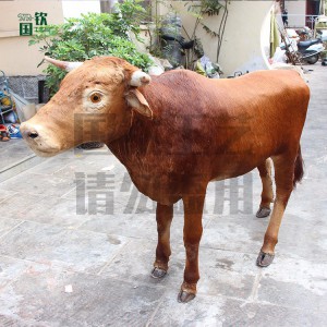 現(xiàn)貨供應(yīng)仿真大黃牛 游樂(lè)園仿真皮毛動(dòng)物模型擺件