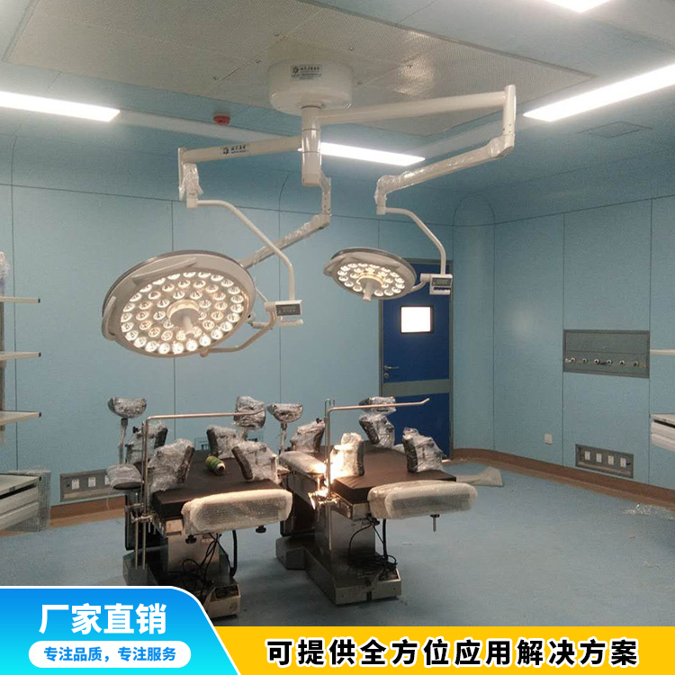山東無(wú)影燈生產(chǎn)廠家 美容整形無(wú)影燈 醫(yī)療器械