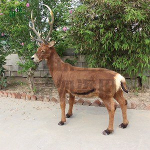 仿真白唇鹿模型 仿真動物工藝品擺件加工定制 國欽