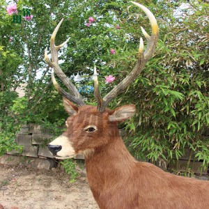 仿真白唇鹿模型 仿真動物工藝品擺件加工定制 國欽