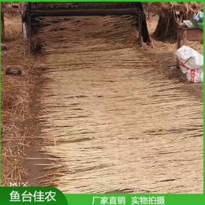 保溫用草苫子 防凍草苫子廠家直銷