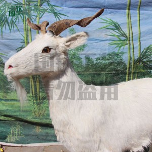 加工定制仿真羊模型 野生動物模型 商場擺件皮毛山羊模型
