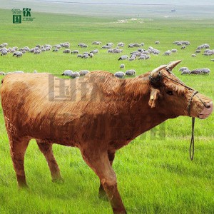 國(guó)欽皮毛動(dòng)物工藝品加工定制仿真黃牛模型 可來(lái)圖設(shè)計(jì)制作各種大型動(dòng)物模型